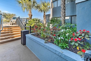 Steps lead up to the entrance of this building surrounded by lush greenery and palm trees.