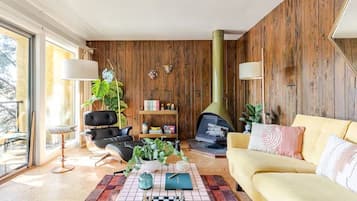 Smart TV, fireplace, books