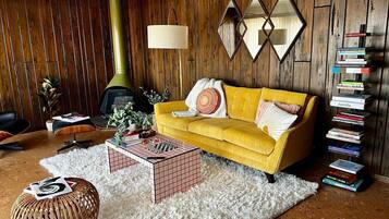 Smart TV, fireplace, books