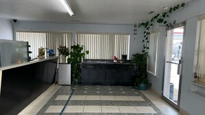 Una cocina moderna con armarios negros, un refrigerador y una encimera con una cafetera. Hay plantas en macetas y una ventana con persianas.