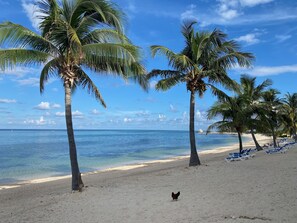 Am Strand, Liegestühle, Strandtücher