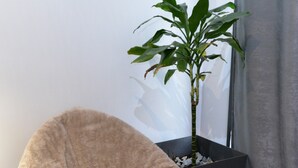 Una stanza accogliente con una poltrona confortevole, una pianta in vaso e un tavolo nero moderno.