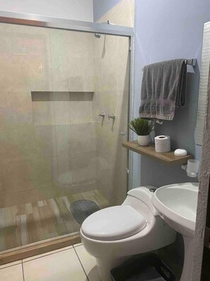 Family House | Bathroom | Shower - Departamentos FAP (Mazatlán)