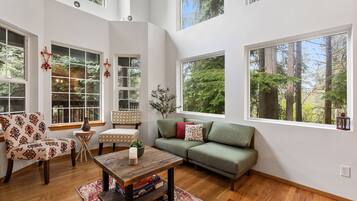 TV connectée, cheminée, livres, chaßne hi-fi