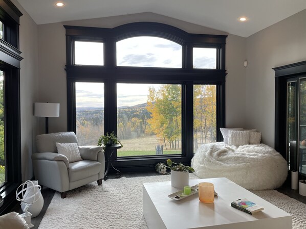 TV, fireplace, printers