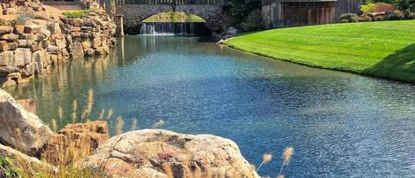 Overnatningsstedets område