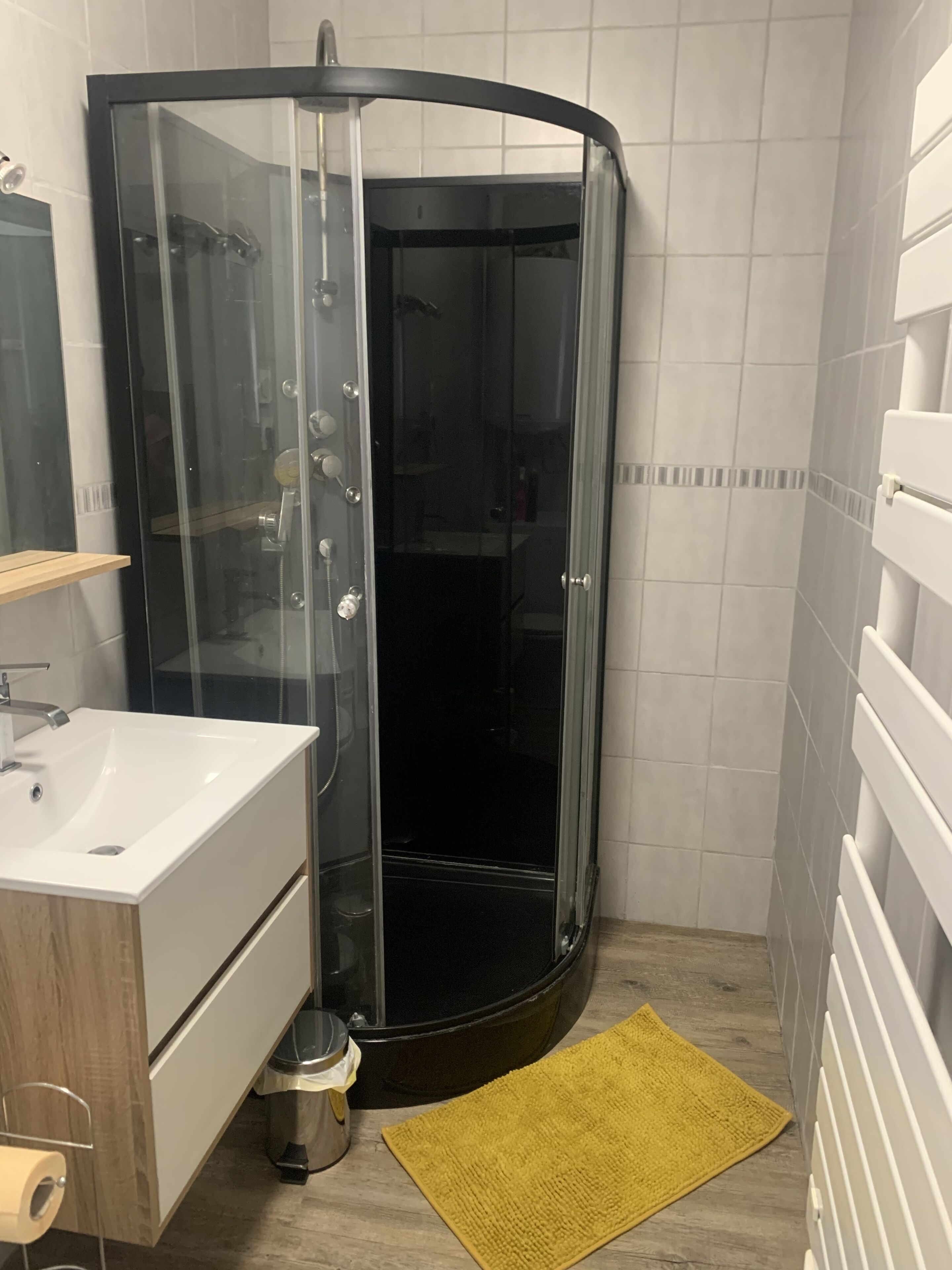 Shower, hair dryer, toilet paper