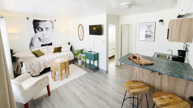 Un appartement moderne comprenant un salon, un coin repas et une kitchenette.