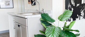 Suite 115 - 1 Bed/2 bath + Living & Kitchen
