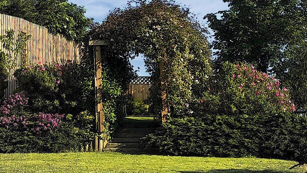 En havegang der fører til et træpergola, dækket af slyngplanter, omgivet af frodigt grønt og blomstrende buske.