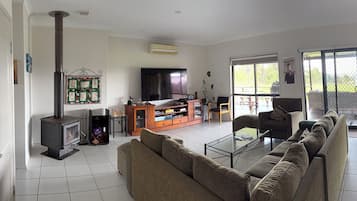 Smart TV, chimenea, videojuegos, libros