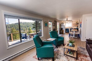 Smart TV, fireplace, books