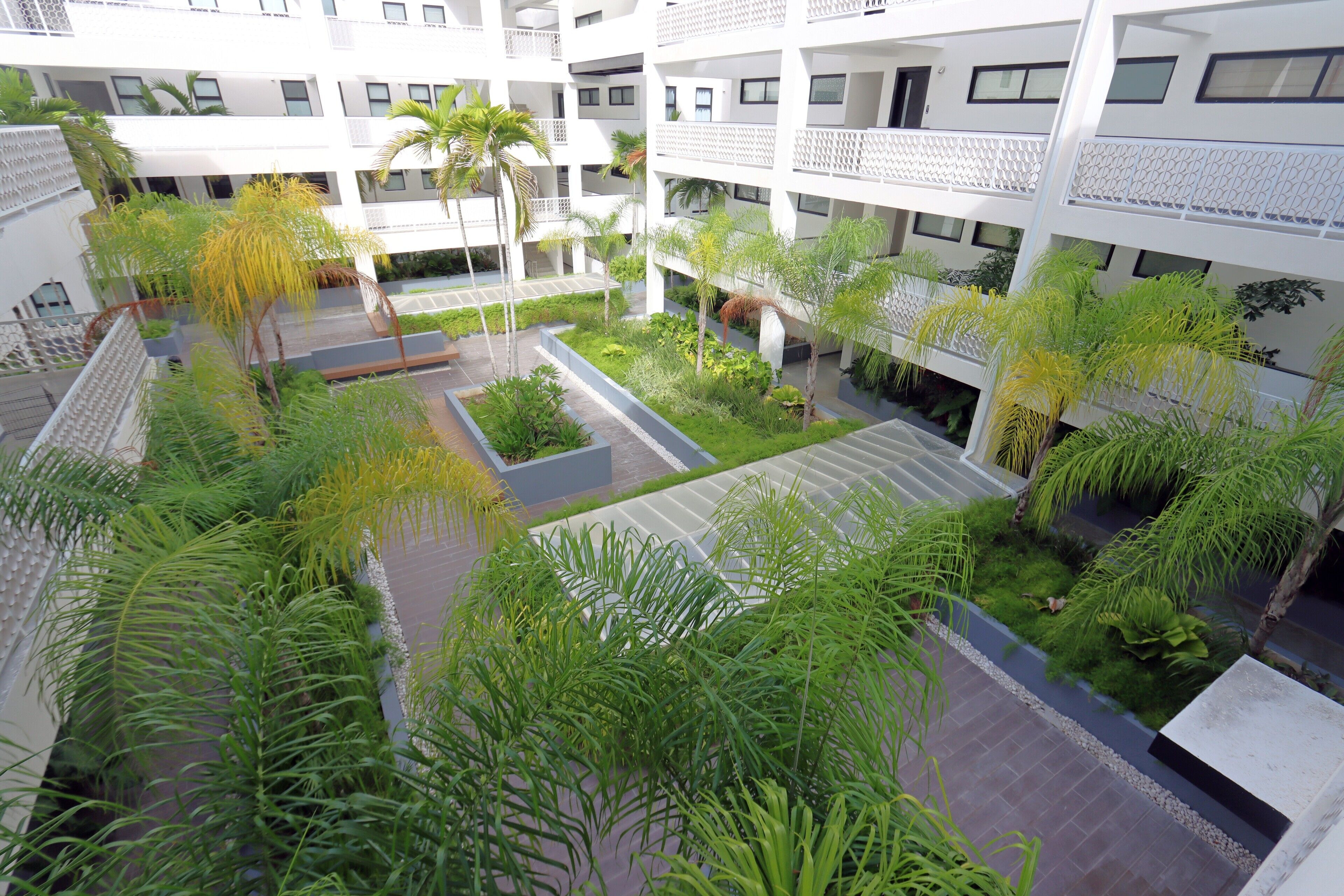 A multi-level courtyard with lush greenery, palm trees, and a central seating area.