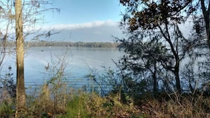 Un lago tranquilo con árboles y arbustos en primer plano.