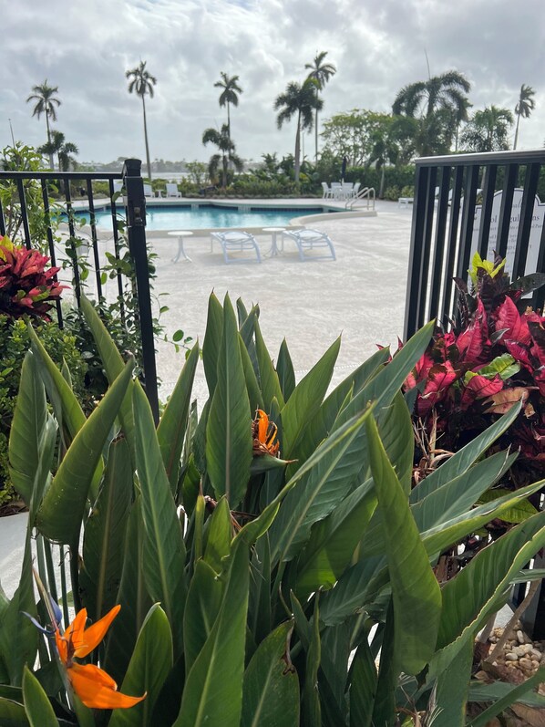 Piscina all'aperto, una piscina riscaldata