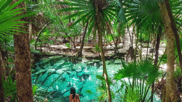 Une piscine naturelle entourée d’une végétation tropicale, avec une personne assise sur un rocher.