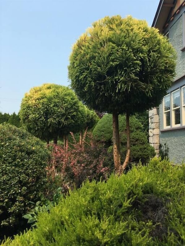 Jardines del alojamiento