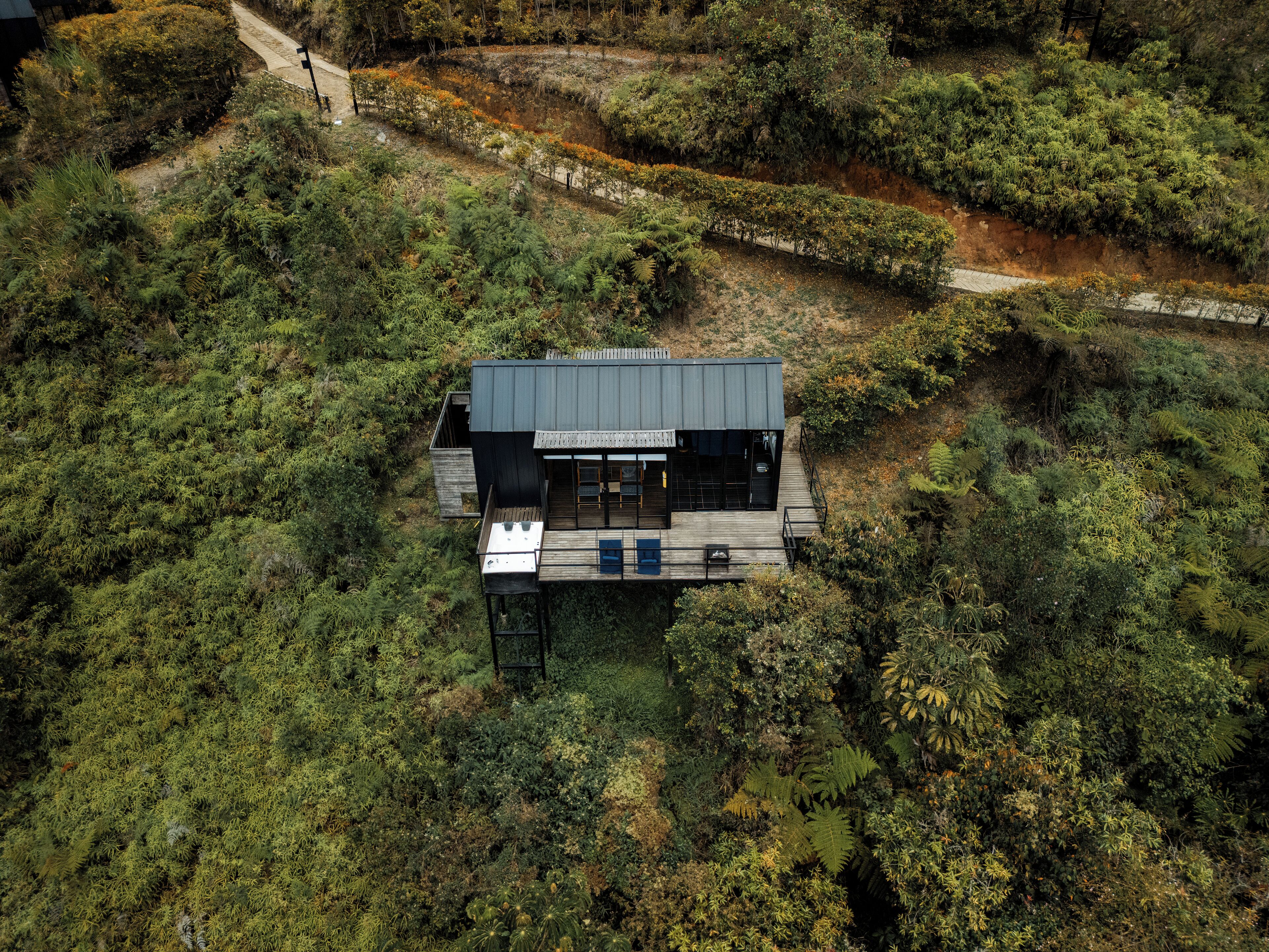 Una casa moderna con techo plano, rodeada de vegetación densa.