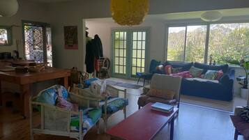 Smart TV, fireplace, DVD player, books