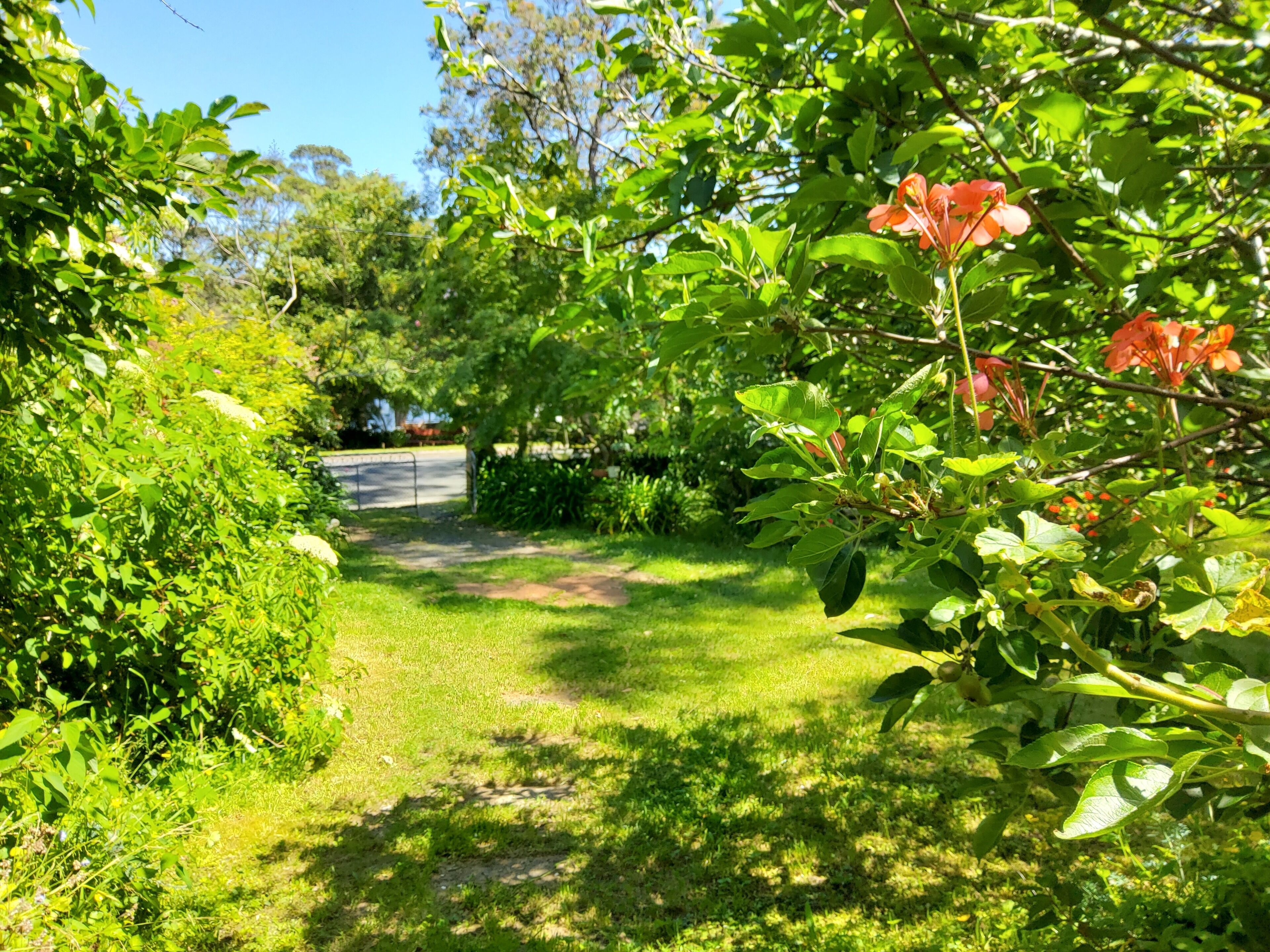 Overnattingsstedets uteområder