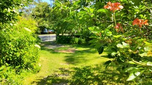 A lush garden with a variety of plants and trees, a clear pathway, and a fence in the background.