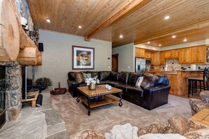 TV, caminetto, impianto stereo