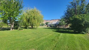 A grassy yard with trees and a house. - Quaint Farmhouse on  Palisade Peach Orchard close to Wineries (Palisade)