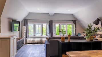 Älytelevisio, takka, työhuone