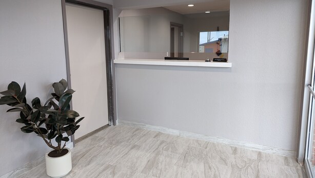 A room with a potted plant, a white door, a white counter, and a mirror reflecting a window and a balcony. - OKC Hotel (Oklahoma City)