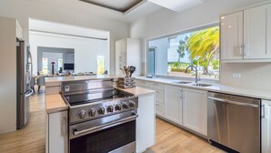 A modern kitchen with stainless steel appliances, a large window with a view of greenery, and a clean, minimalist design. - Caya di Bista Bunita 6 (Noord)