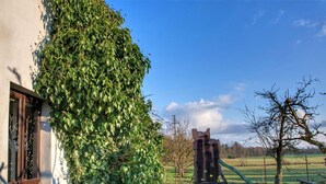 A house with ivy-covered walls, a swing set, and a tree in a grassy yard.