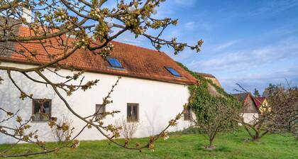 Wonderful private villa for 13 people with WIFI, private pool, TV and pets allowed