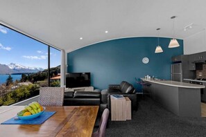 Smart TV, fireplace, books