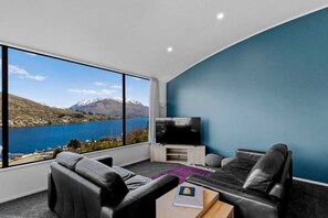 Smart TV, fireplace, books