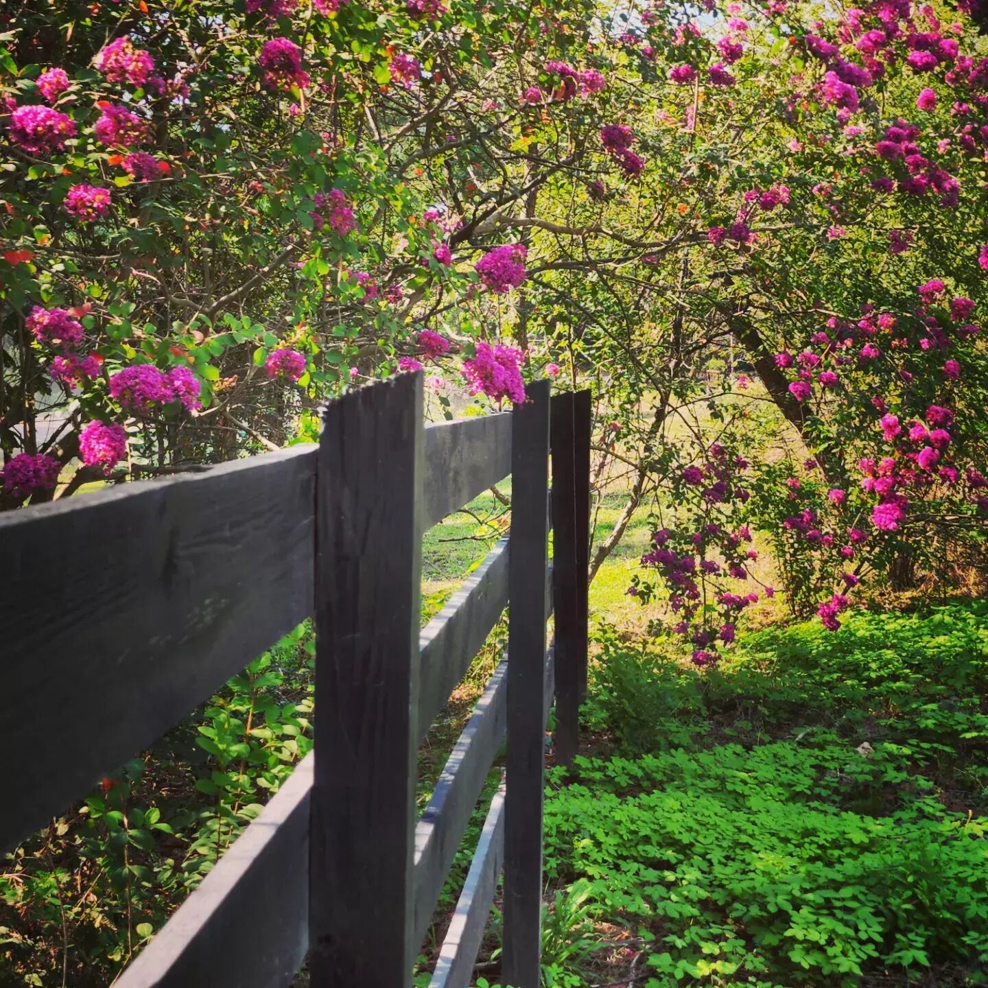 Romantic Country Living Experience