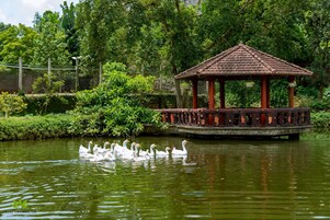 Lago