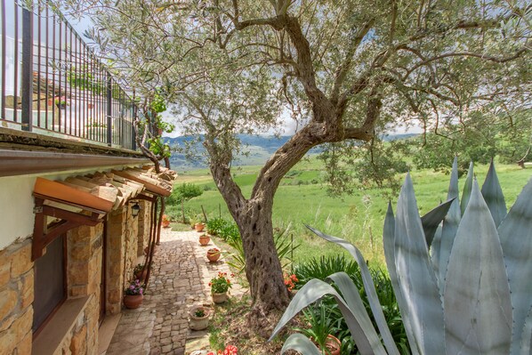 المنطقة المحيطة بالمنشأة