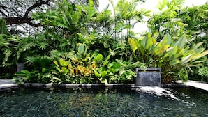 A clear pool surrounded by lush tropical plants and a small waterfall feature.