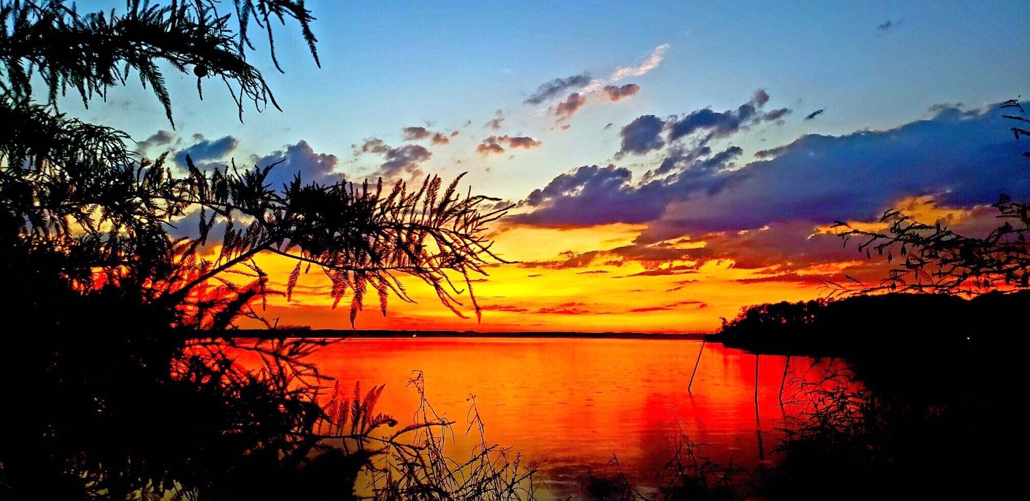 A sunset over a calm body of water with silhouettes of trees in the foreground.