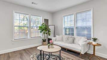 Smart TV, fireplace, books