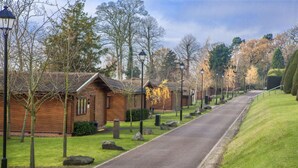 A row of wooden cabins with a paved road in between, surrounded by trees and a grassy hill.