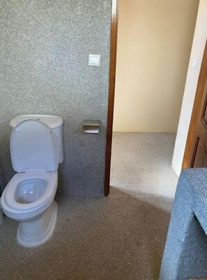 Dusche, Toilettenpapier