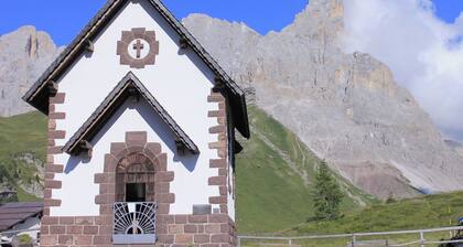 The Snowy Flea - Rolle Pass