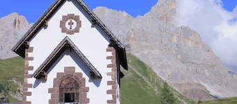 The Snowy Flea - Rolle Pass