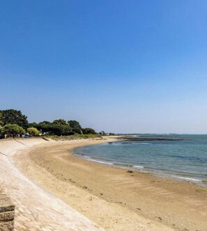 A sandy beach with a clear blue sky, a calm sea, and a row of trees in the background.
