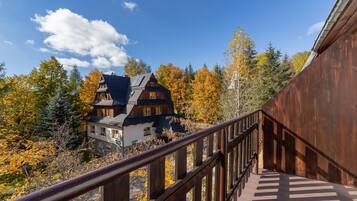 Apartment, 1 Bedroom, Balcony, Mountain View | Balcony