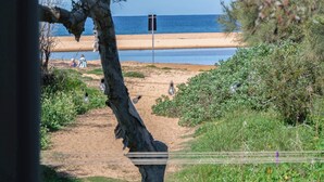 Vista de una playa con un árbol en primer plano, un sendero arenoso que lleva a la playa y un cielo azul despejado.