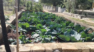 Huis (Two Bedroom Holiday Home with Terrace) | Exterieur