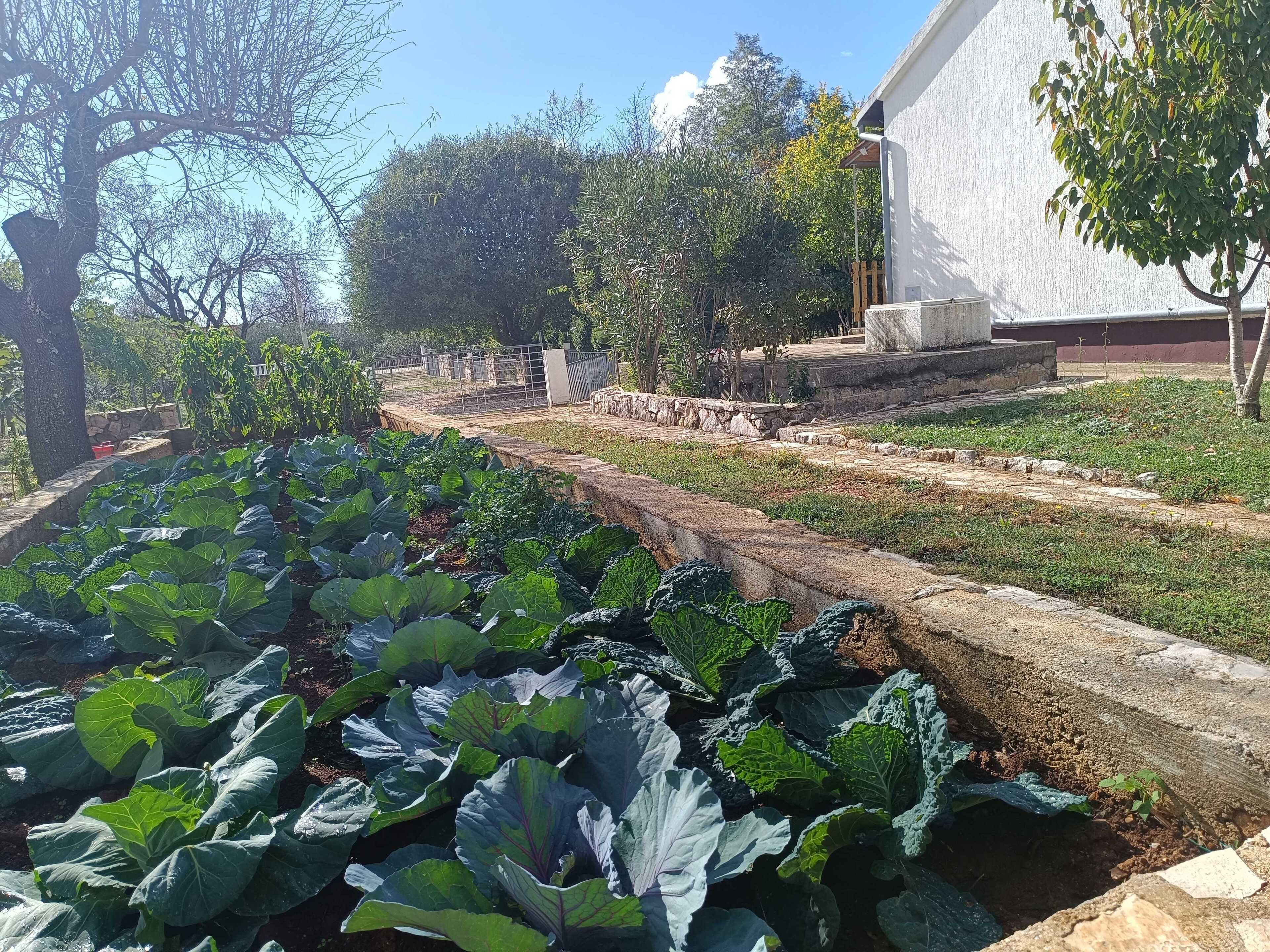 House (Two Bedroom Holiday Home with Terrace) | Exterior