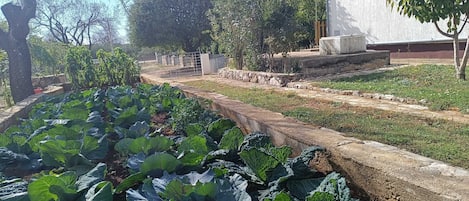 House (Two Bedroom Holiday Home with Terrace) | Exterior